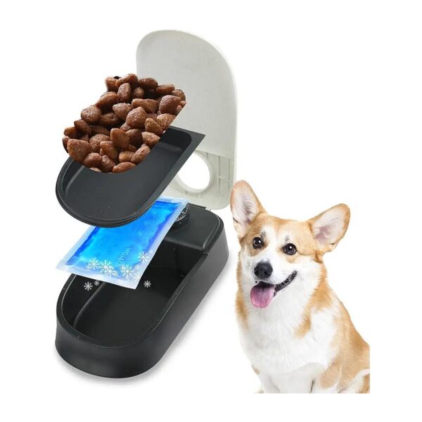 Automatic Pet Feeder for Dogs and Cats with Timed Meal Dispenser