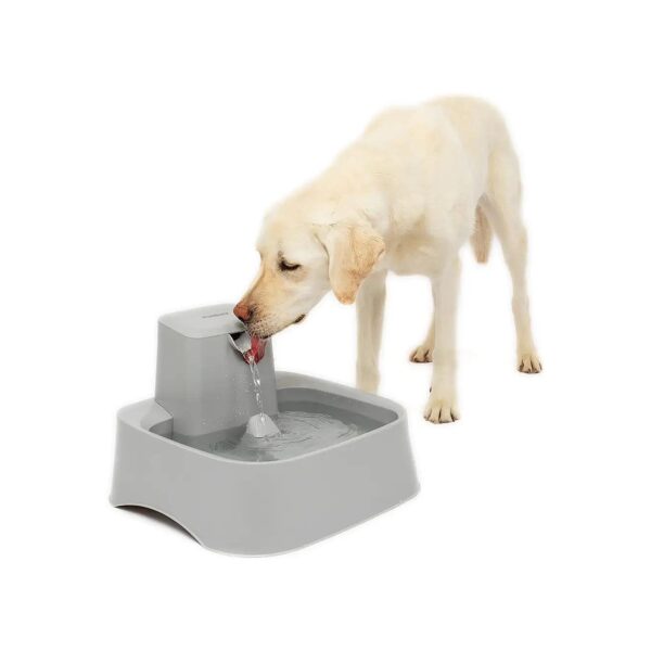 Automatic Water Fountain for Pets with 2-Gallon Capacity and Dishwasher Safe Design