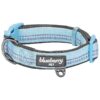 Baby Blue Reflective Neoprene Dog Collar with Adjustable Neck Size 5-20 inches