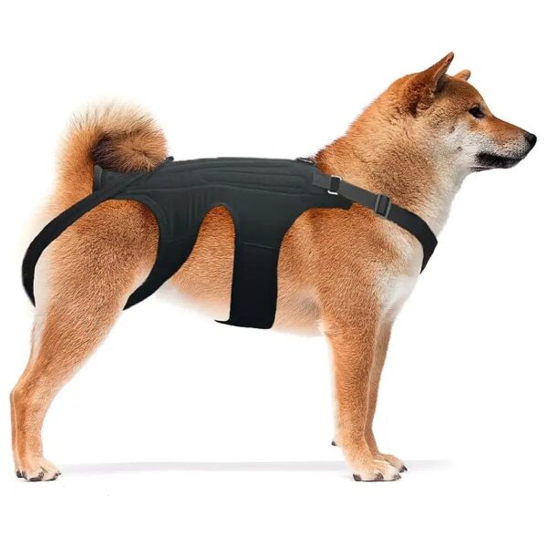 Back Brace for Large Dogs with Arthritis IVDD Spinal Back Disease Prevention