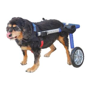 Back Legs Support Wheelchair for Medium Dogs 26-49 Pounds