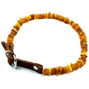 Baltic Amber Dog Collar with Adjustable Leather Strap and Raw Knotted Amber Beads