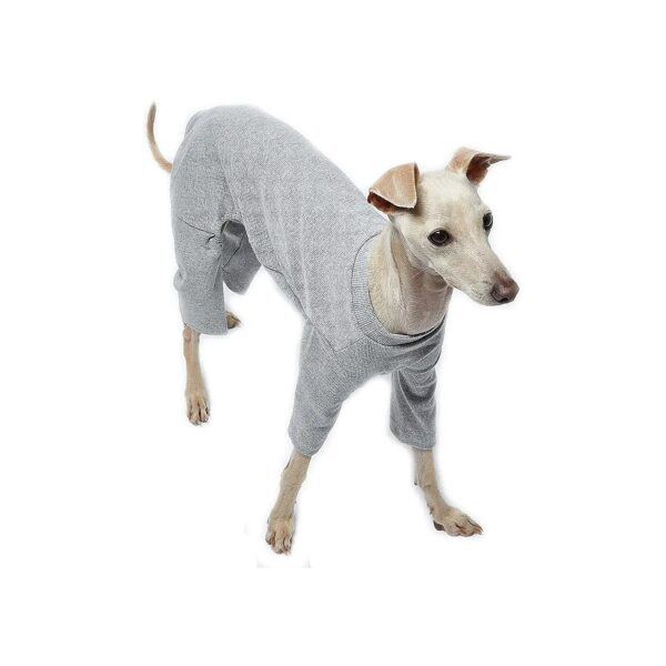 Basic Design Dog Pajamas with Soft Lining for Small Dog Breeds and Daily Wear