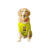 Basic Dog T-Shirt with Soft Breathable Cotton Fabric and Half Sleeves for XX-Small Dogs