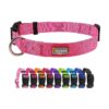 Basic Hot Pink Dog Collar with Adjustable Nylon and Durable Buckle for Puppy