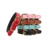 Basic Leather Pet Collar with Strong and Durable Construction for Cats and Small Dogs