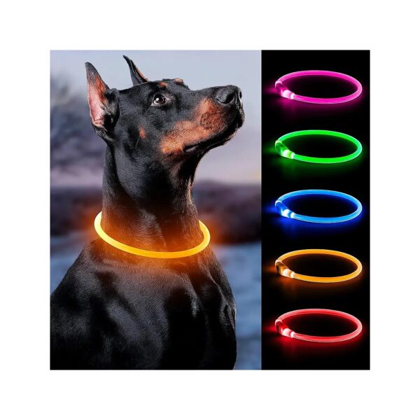 Basic Orange LED Dog Collar with Button Closure for Medium to Large Dogs