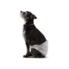 Basics Male Dog Wrap Small Pack of 30 White Disposable Diapers