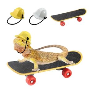 Bearded Dragon Lizard Mini Helmets and Scooters for Pet Accessories