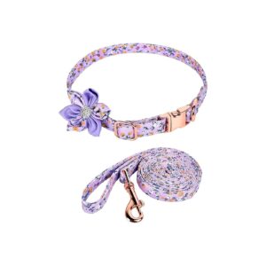 Beautiful Floral Dog Collar with Detachable Bow and Matching Leash for Female Dogs