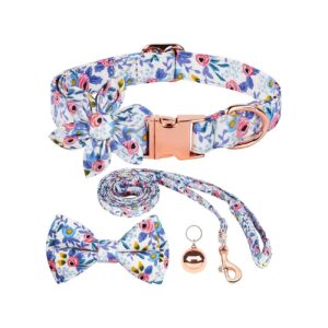 Beautiful Flower Girl Floral Pattern Dog Collar and Leash Set with Strong Gold Buckle