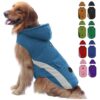 Beautiful Light Blue Dog Winter Coat for Small Breed Dogs