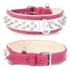 Beautiful Magenta and White Color Combination for a Stylish and Comfortable Dog Collar