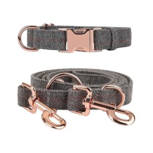 Beautiful Rose Gold Dog Collar and Leash Set for Medium to Large Dogs