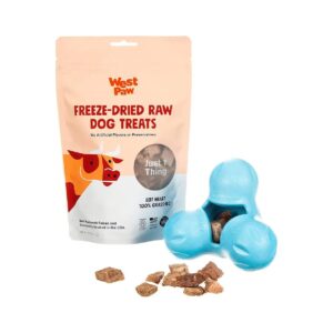 Beef Heart Freeze-Dried Raw Treats and Durable Dog Chew Toy Package Deal