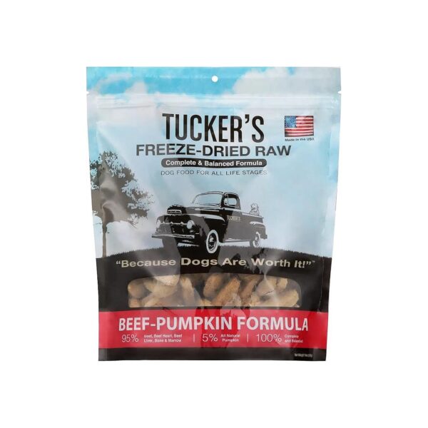 Beef and Pumpkin Formula Freeze Dried Raw Dog Food for All Life Stages