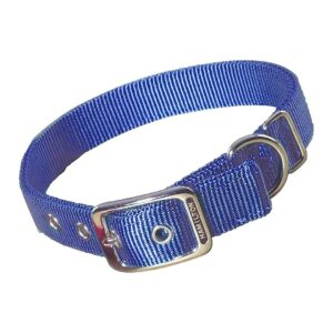 Berry Blue Deluxe Nylon Dog Collar with Extra Long Length Measurement