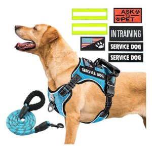 Best Adjustable Dog Harness for Large Dogs with Handle and Reflective Patches