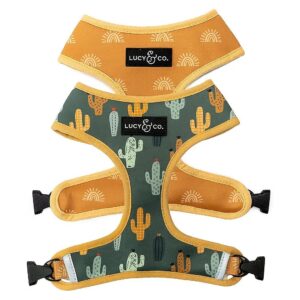 Best Designer Pet Harness for Medium Dogs with Adjustable Vest