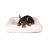 Best Dog Bed for Dogs with Arthritis and Joint Pain with Memory Foam Support