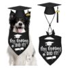 Best Dog Graduation Outfit Gifts for Small Medium Large Dogs Black Cap and Bandana