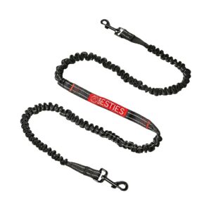 Best Dog Leash for Two Small Medium or Large Dogs with Heavy Duty Stitching and Nylon