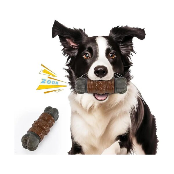 Best Dog Toys for Aggressive Chewers Long Lasting and Safe for Medium to Large Dogs