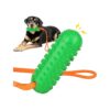 Best Dog Toys for Large Medium Small Breeds Interactive Fun and Games