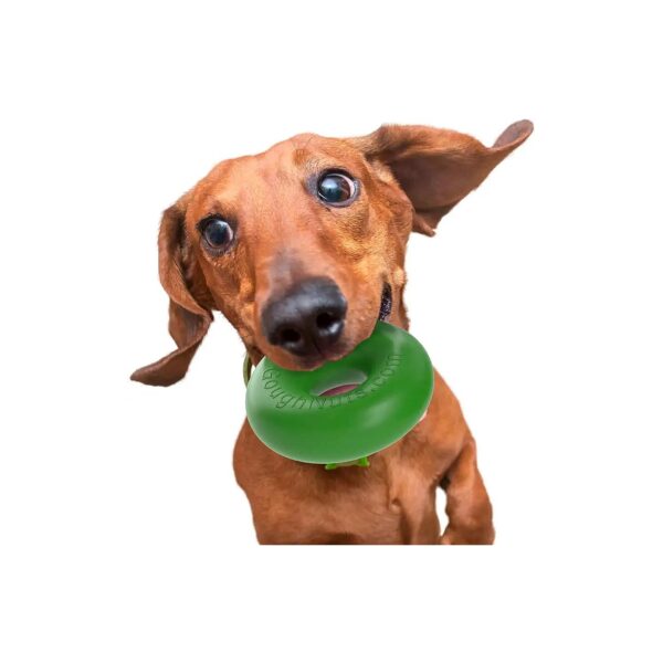 Best Green Ring Rubber Dog Chew Toy for Medium-Sized Aggressive Chewers