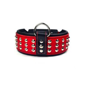 Best Leather Dog Collar for Cane Corso with Limited Edition Red Color