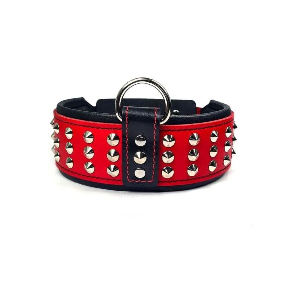 Best Leather Dog Collar for Cane Corso with Limited Edition Red Color