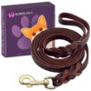 Best Leather Dog Training Leash for Small, Medium, and Large Breed Dogs