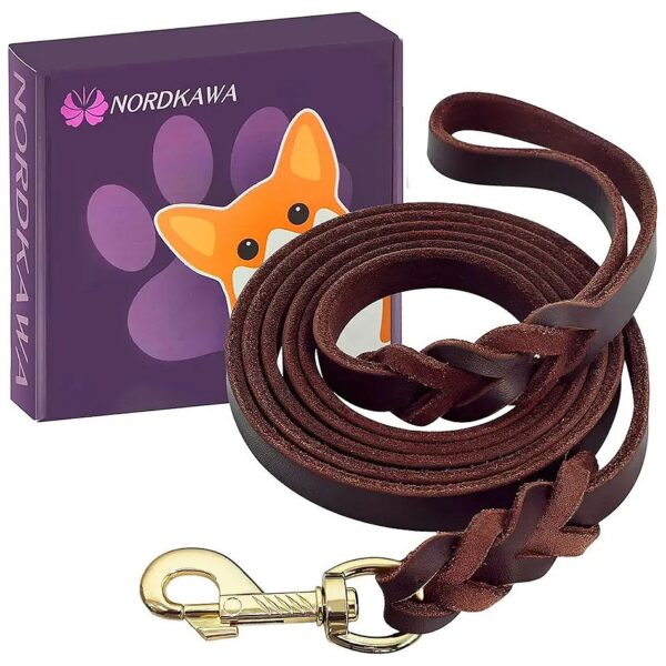 Best Leather Dog Training Leash for Small, Medium, and Large Breed Dogs