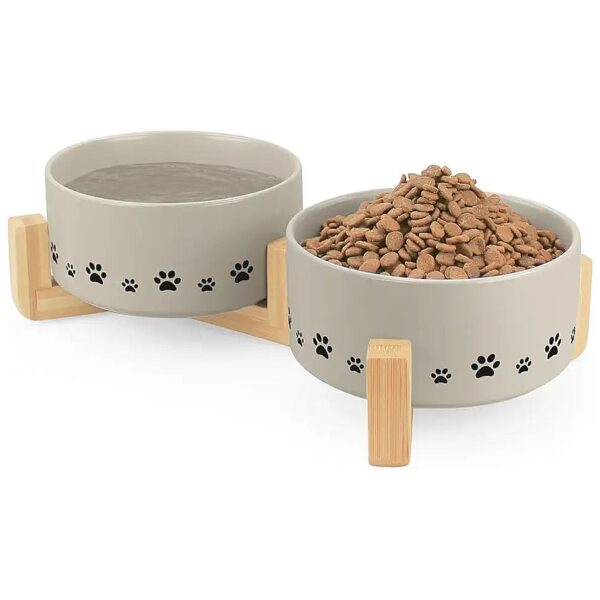 Best Pet Bowls for Cats Dogs with Anti-Slip Wooden Stand and 14 Oz Capacity