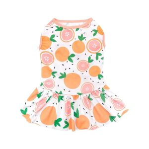 Best-Selling Fruit-Inspired Pet Dog Dresses for Small Dogs with Breathable Fabric