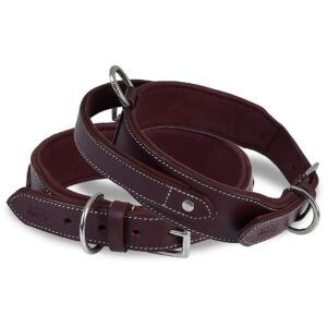 Best Tactical Dog Collar for Medium to X-Large Breeds with Comfortable Handle