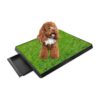 Best for Small to Medium Dogs, Artificial Grass Pet Training Solution