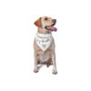 Big Brother Dog Bandana Soft Reversible Photo Prop Accessories Pet Gift