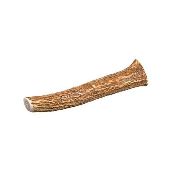 Big Deer Antlers for Dogs, Organic, Natural, Long Lasting, No Fillers