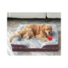 Big Dog Bed for Senior Large Dogs - Cozy Orthopedic Bed with Bolster and Cuddler Support