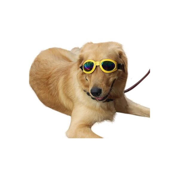 Big Dog Sunglasses with Yellow Frames and Adjustable Head and Jaw Straps