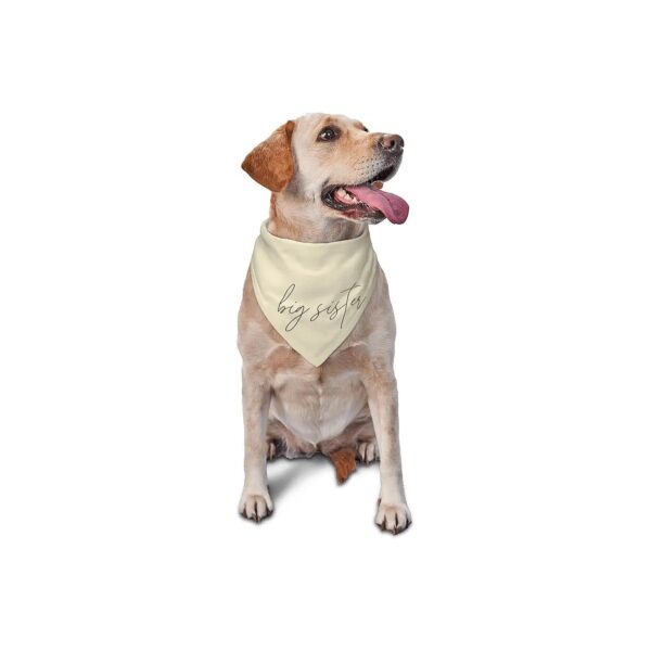 Big Sister Dog Bandana for Female Dogs with Adjustable Collar