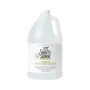 BioKore Stain and Odor Eliminator for Pet Stains, Carpets, and Water-Safe Surfaces