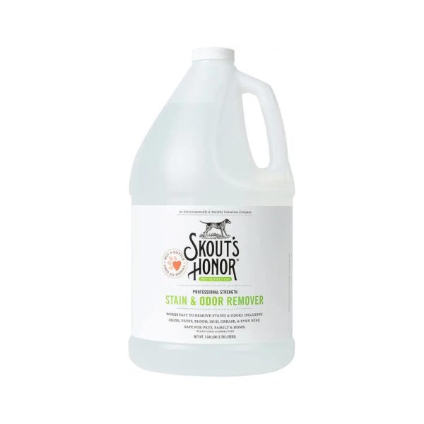 BioKore Stain and Odor Eliminator for Pet Stains, Carpets, and Water-Safe Surfaces