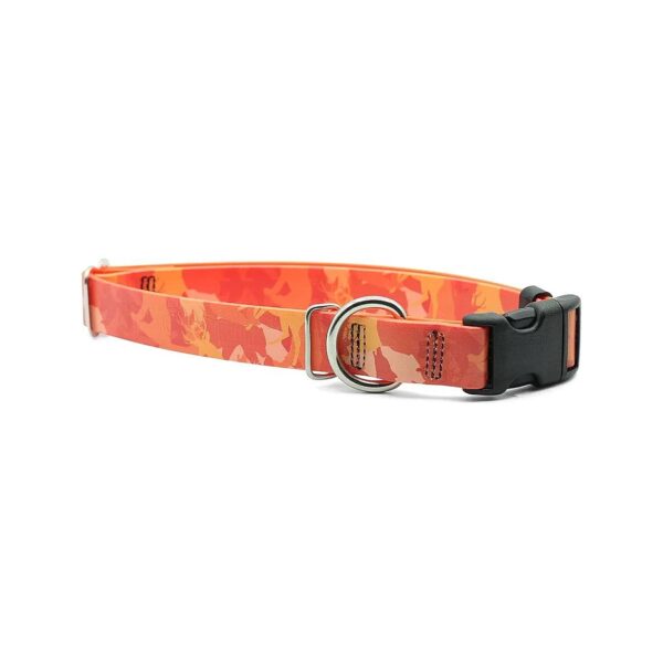 Biothane Dog Collar with Waterproof and Stinkproof Properties for the Most Active Dogs