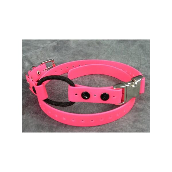 Biothane Strap Collar with Buckle and Snap for Remote Dog Training