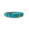 Biothane Teal Dog Collar with Nylon and Leather Roller Buckle for Sport Dogs