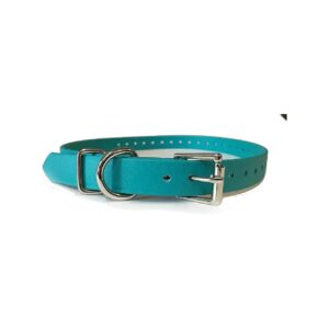 Biothane Teal Dog Collar with Nylon and Leather Roller Buckle for Sport Dogs