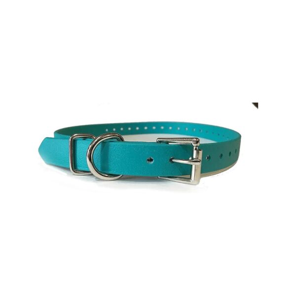 Biothane Teal Dog Collar with Nylon and Leather Roller Buckle for Sport Dogs