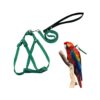 Bird Chest Harness and Leash for Medium Breed Parrots, Adjustable and Durable